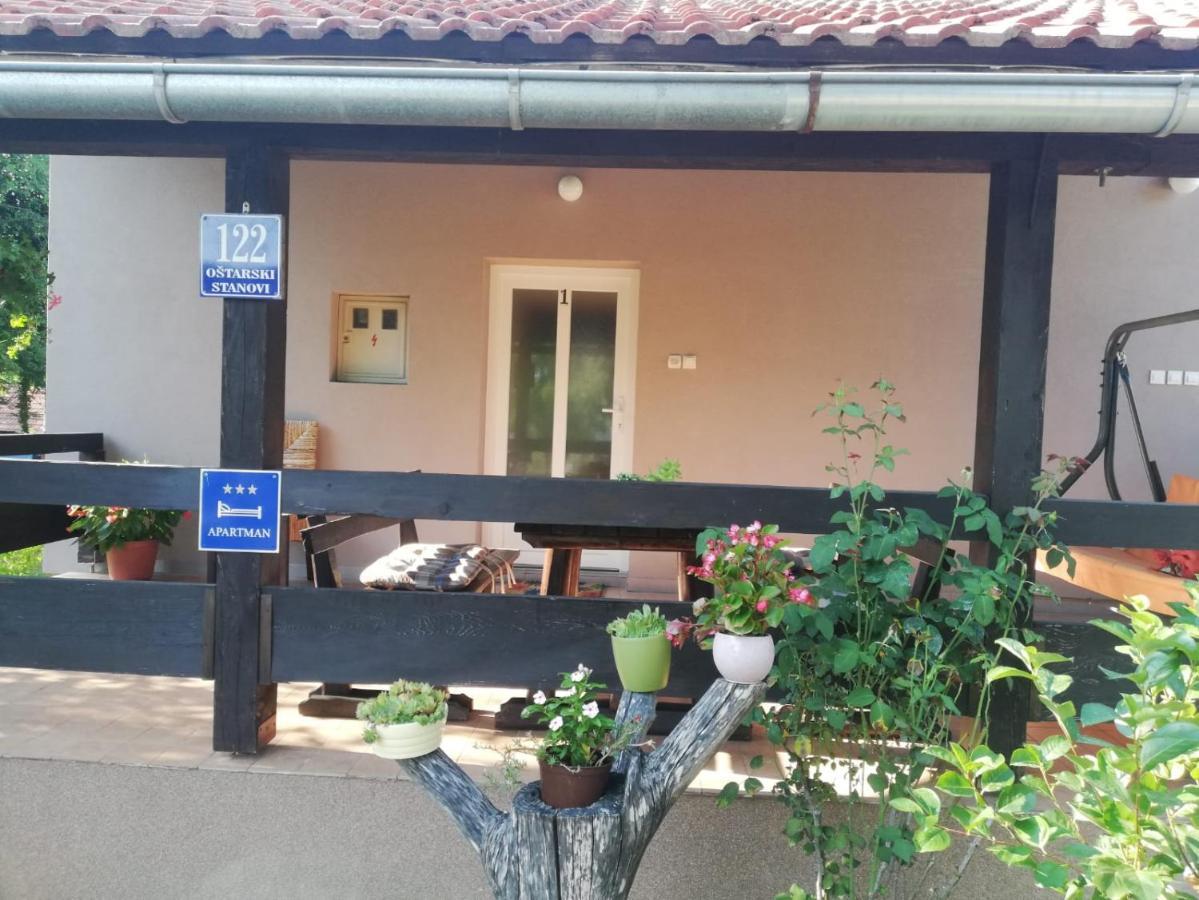 Apartman Adam 拉科维察 外观 照片