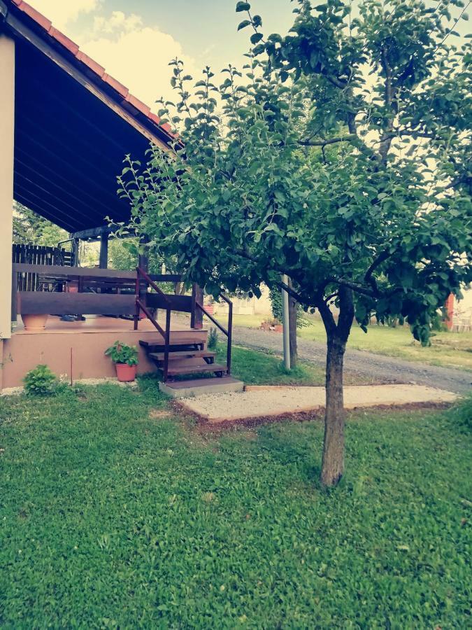 Apartman Adam 拉科维察 外观 照片
